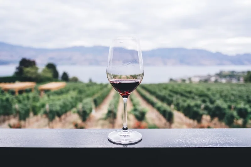 Premium beverages producer, served in Michelin-starred restaurants